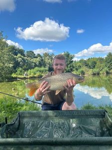 Common Carp