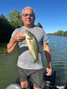 Smallmouth Bass