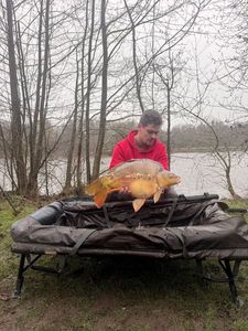 Mirror Carp