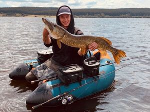 Chain Pickerel