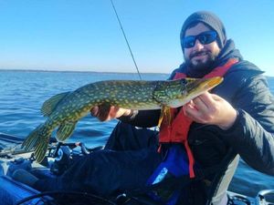 Northern Pike