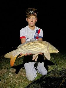 Common Carp