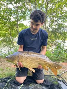 Common Carp