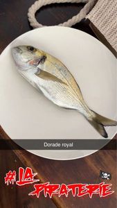 Gilthead Seabream