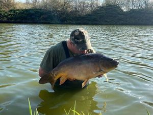 Mirror Carp