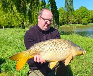 Common Carp