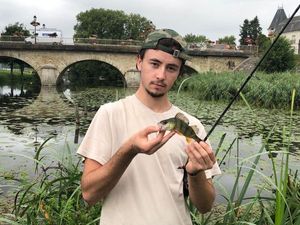 European Perch
