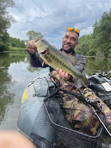 Smallmouth Bass