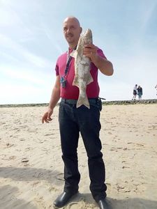 European Bass (Seabass)
