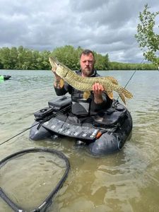Northern Pike