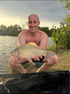 Crucian Carp