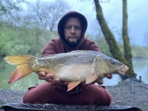 Mirror Carp