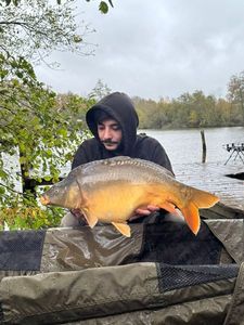 Mirror Carp
