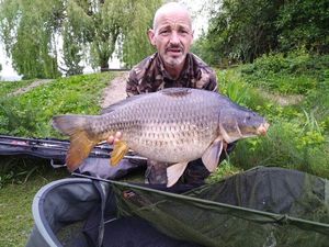 Common Carp