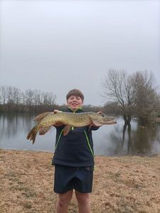Northern Pike