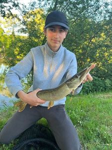 Northern Pike
