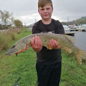 Northern Pike