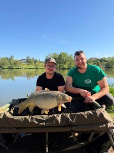 Mirror Carp
