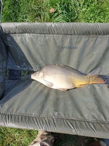 釣果の写真