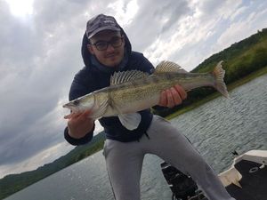 Zander