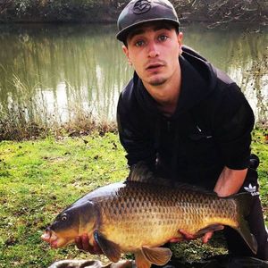 Common Carp