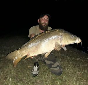 Mirror Carp