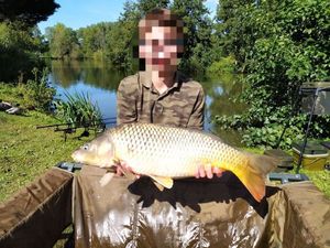 Common Carp