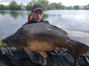 Mirror Carp