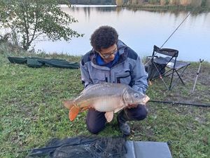 Mirror Carp