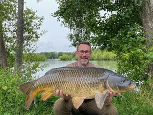 Common Carp