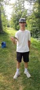 Largemouth Bass