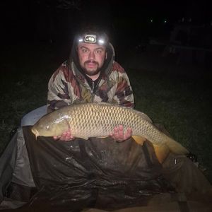 Grass Carp