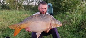Mirror Carp