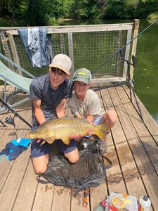 Common Carp