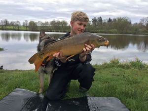 Mirror Carp