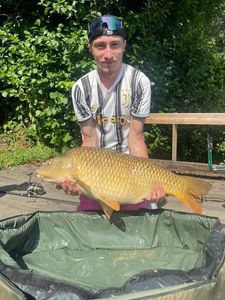Common Carp