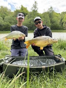 Mirror Carp