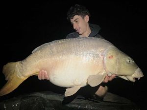 Mirror Carp