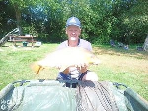 Common Carp