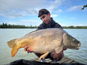 Mirror Carp