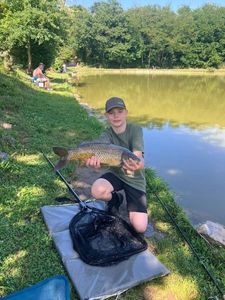 Common Carp