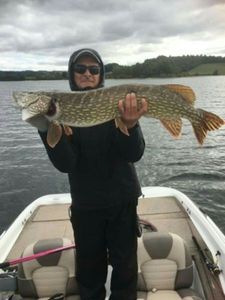 Northern Pike