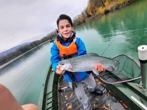 Rainbow Trout