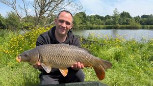 Common Carp