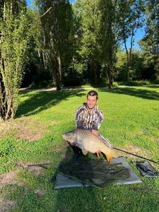 Common Carp