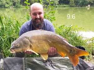 Mirror Carp
