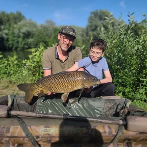 Common Carp