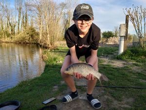Crucian Carp