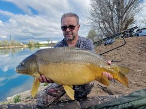 Mirror Carp