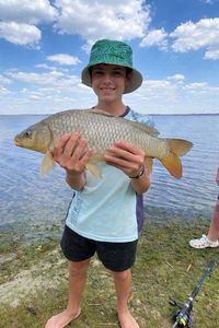 Common Carp